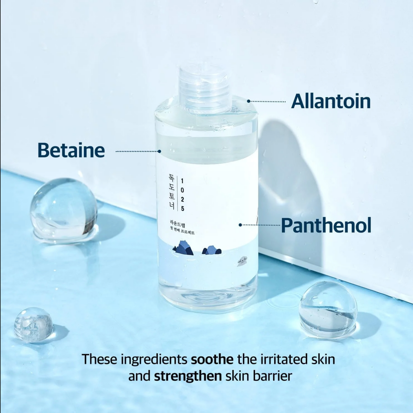 ROUND LAB Cleansing Duo Set