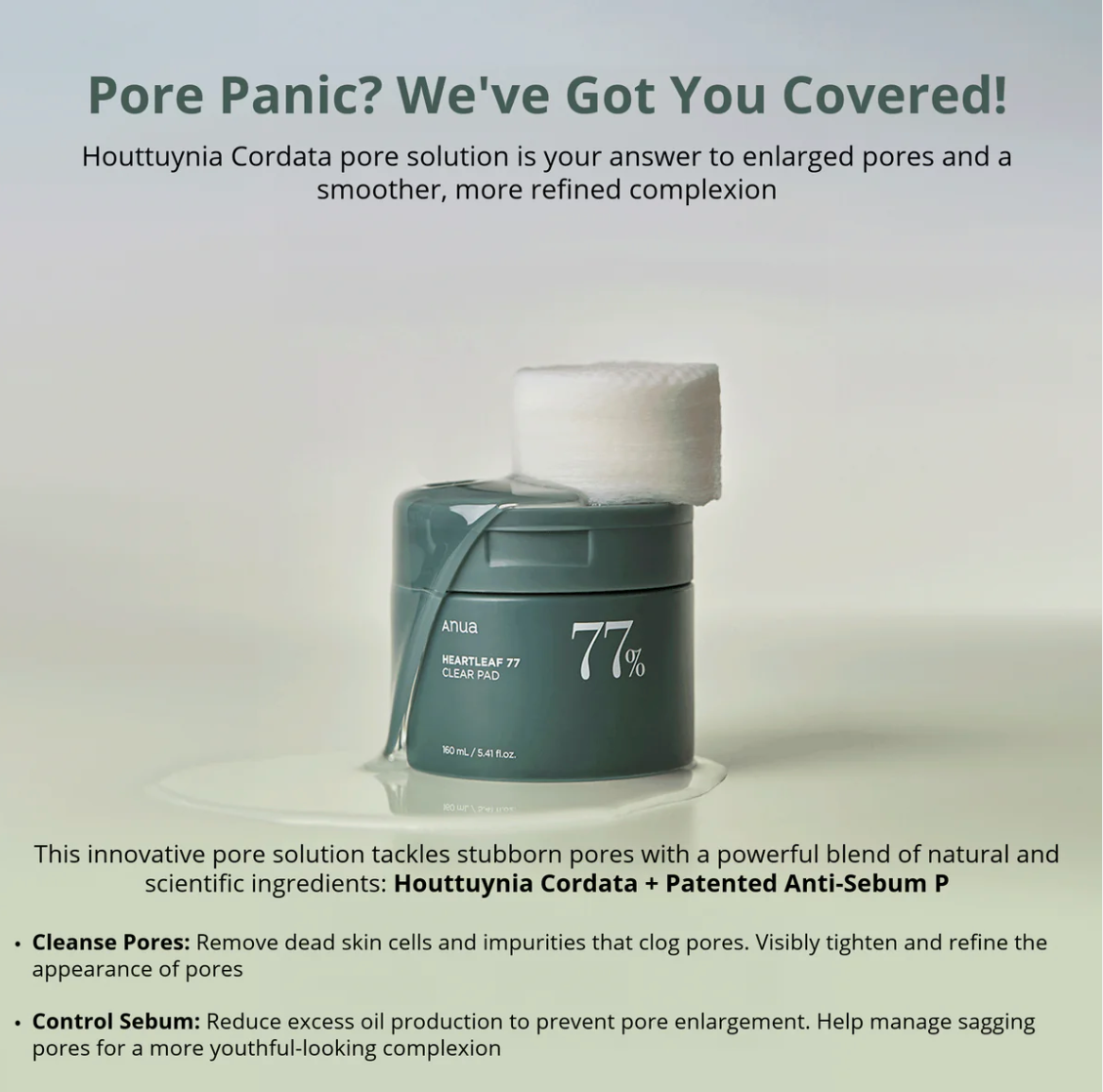 Anua Heartleaf 77% Clear Pad - 160ml