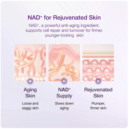 Numbuzin – No.9+ NAD BIO Lifting-sil Essence